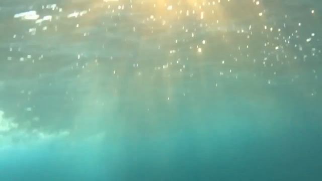 Мелодрама для фортепиано и чтеца " Диана на берегу волшебного моря" смотреть онлайн