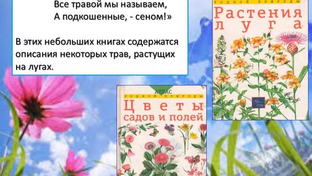 Природа вокруг нас смотреть онлайн