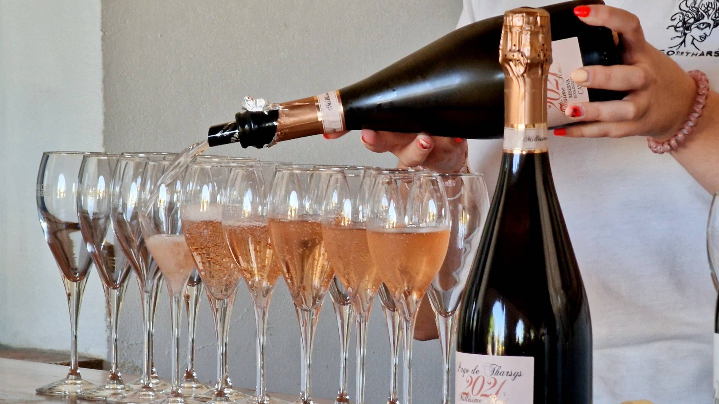 Ваш гид в Валенсии