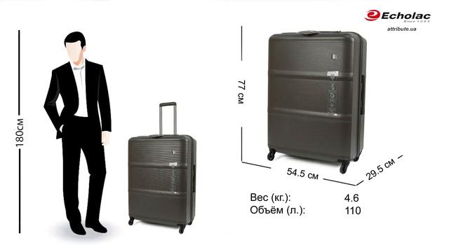 Обзор чемодана на 4-х колесах Echolac ELISE Grey смотреть онлайн