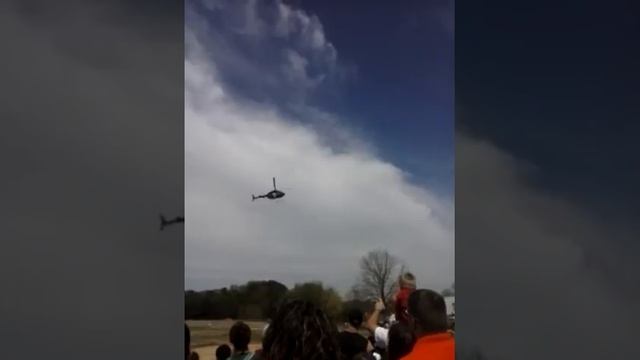 Easter egg drop this year смотреть онлайн