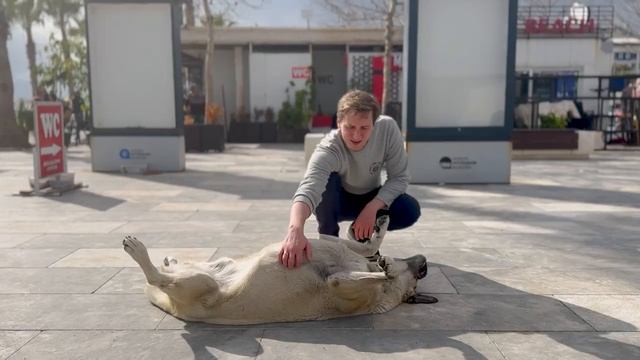 Переезд в Турцию 2023 год / Как получить ВНЖ? / Самый русский город в Турции - Анталия смотреть онлайн