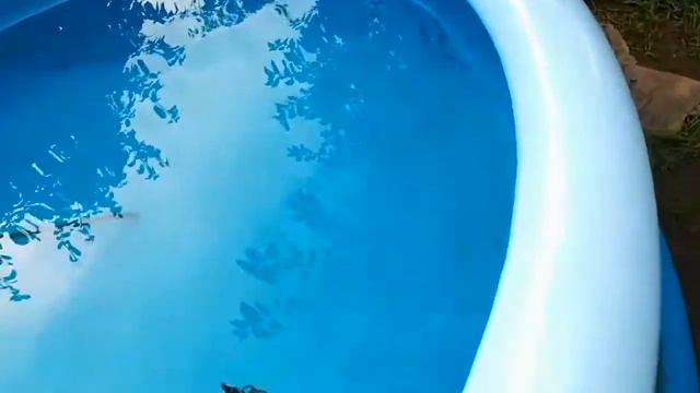 Самый дешёвый фильтр для воды в бассейне.