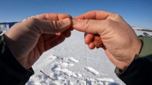 Зимняя рыбалка на поплавок. Ловля плотвы зимой на тесто - херабуна!