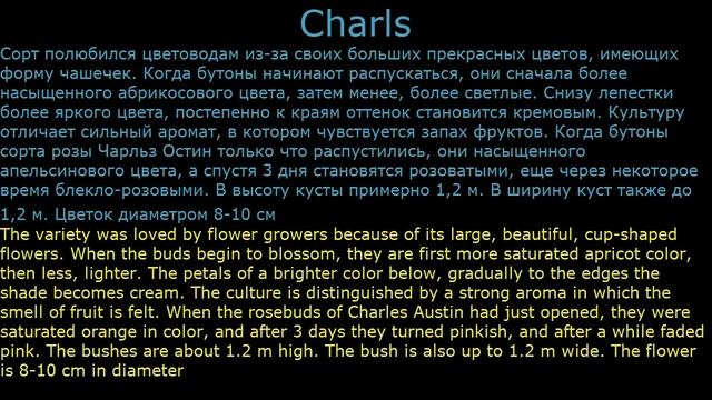 #Розы романтические2 #Цветы для сада и бизнеса от Ольги Шевчук смотреть онлайн