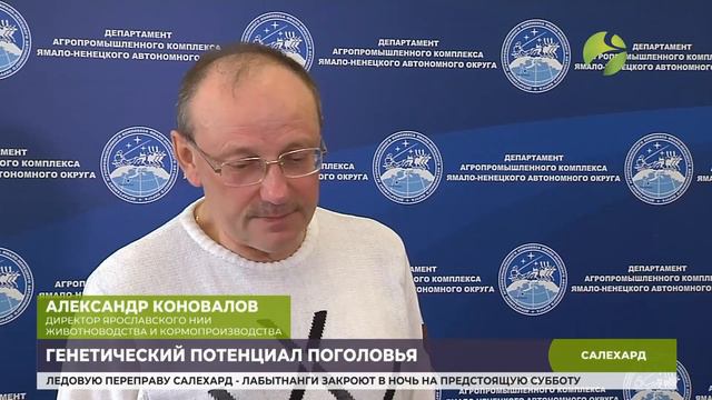 На Ямале выберут эталонных северных оленей смотреть онлайн