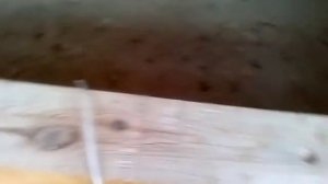 лыски на оц22 Нижний Новгород 8 960 161 80 00