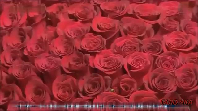 8 МАРТА микс автор клипа ГАЛО ЧКА смотреть онлайн