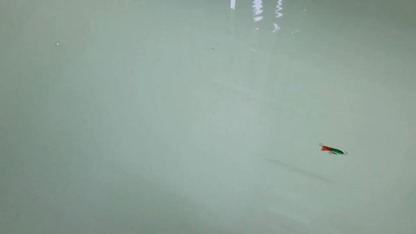 Балансир ECOPRO «ОКУНЕВЫЙ» 3 см счастья рыбака