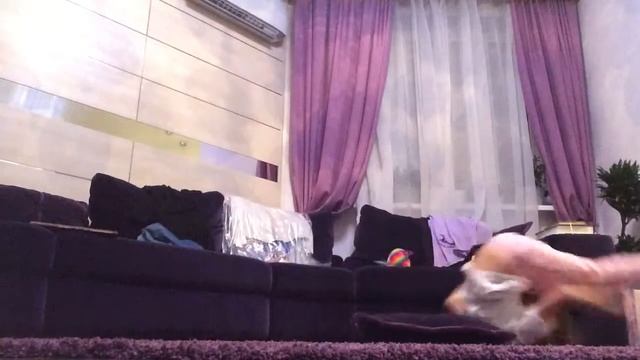 кувырок назад