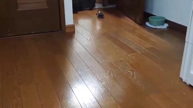 VID-20240316-WA0007.mp4 смотреть онлайн