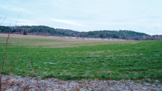 Organelle M // OP-1 * Very cold ambient jam * смотреть онлайн