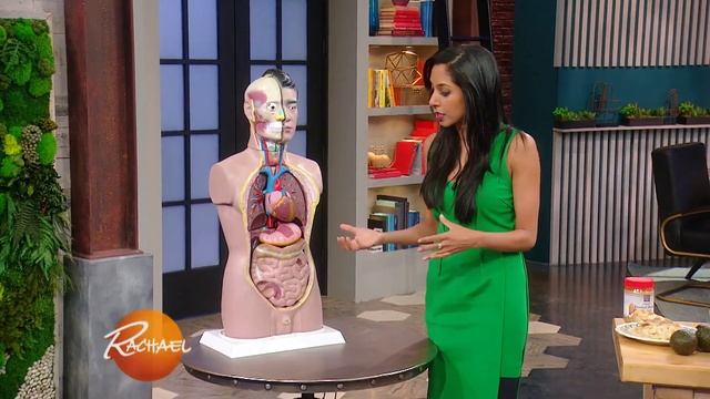 Does Food Actually Absorb Alcohol? A Doctor Answers смотреть онлайн