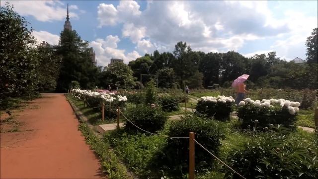 Москва. Прогулка по Ботаническому саду МГУ. Пионы и ирисы. (15.06.2021) смотреть онлайн