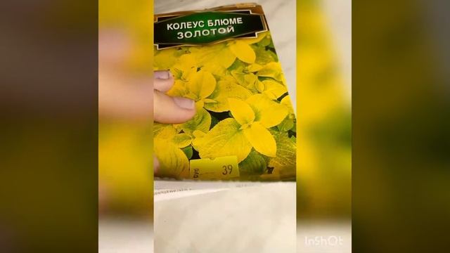 Комнатные растения из семян(эксперемент) смотреть онлайн