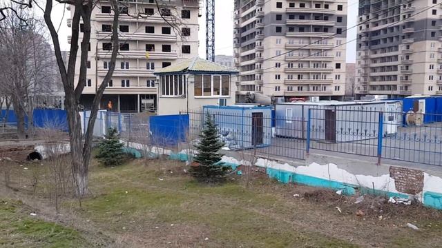 Новостройка ЖК Звезда Столицы Ростов-на-Дону смотреть онлайн