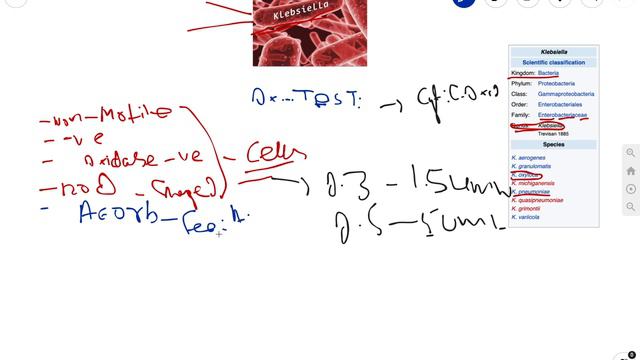 Klebsiella | Microbiology | K Pneumonia | Bacteria