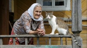 Душевное и Трогательное Стихотворение до Слёз! Про Бабушку и Кота!