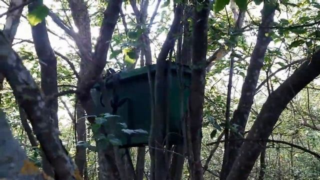 Как и где устанавливать ловушки для пчел, роеловки. смотреть онлайн