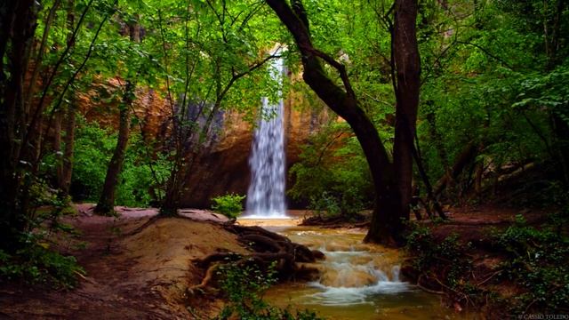 Relaxar: MÚSICA RELAXANTE Para DORMIR com Suave Som de Cachoeira e Floresta смотреть онлайн