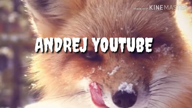 Моё как вам класс intro смотреть онлайн