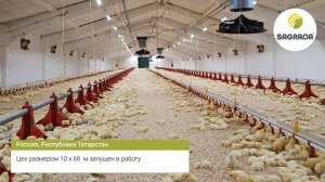 Птицеферма с напольным содержанием бройлеров | Проект SAGRADA