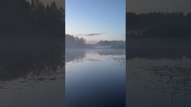 Вот это ВИД|Прекрасный рассвет на речке|Ловим рыбу|#рыбалка #карпятник23рус #fishing #shorts смотреть онлайн