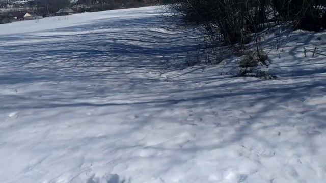 26 марта 2021 г.mp4 смотреть онлайн