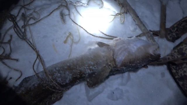 Долгожданный "бонус" на перемёт! смотреть онлайн