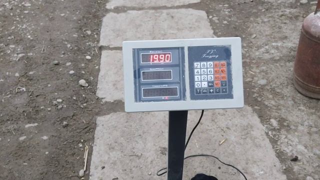 (1008) Сын Ягуара 2 месяца смотреть онлайн
