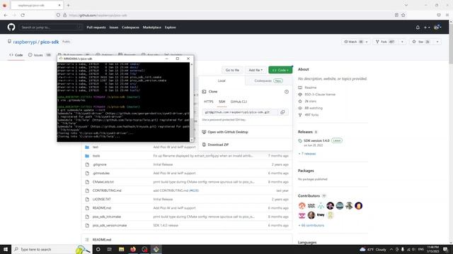 010 install pico sdk on win смотреть онлайн