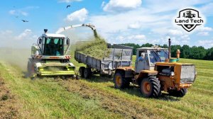 Комбайн Claas Jaguar 830, тракторы Т-150К, МТЗ-82, Massey Ferguson 7720S и 6713 - заготовка кормов!