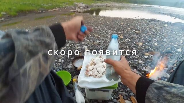 Сухая Тунгуска. Хариус. Рыбные котлеты. Медведь. смотреть онлайн