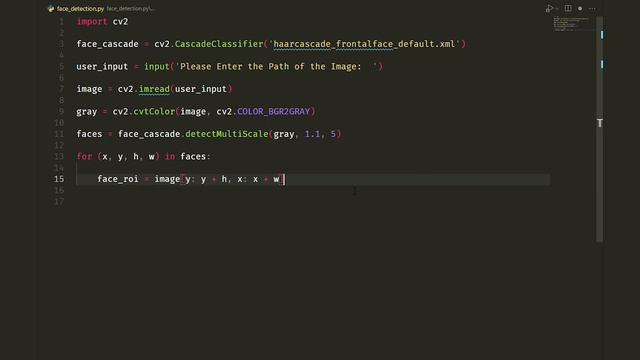 Face Detection in Python Tutorial смотреть онлайн