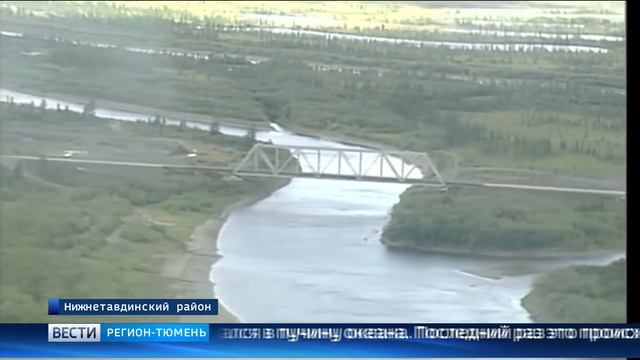 Цех по производству диатомита открыли в Нижней Тавде смотреть онлайн