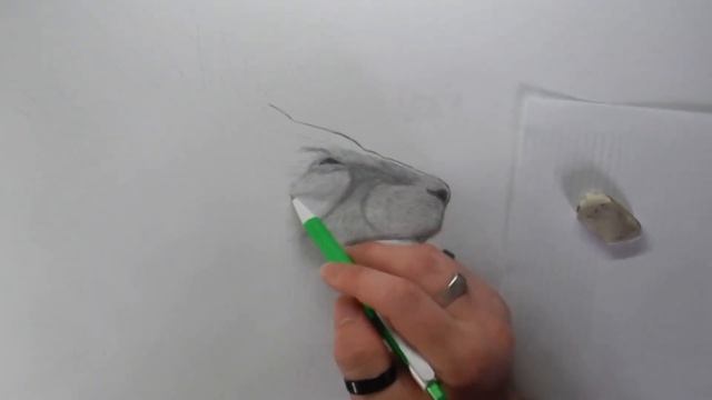 LION ART/ РИСУНОК ЛЬВА смотреть онлайн