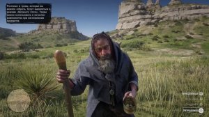 RDR 2 для ПЕРФЕКЦИОНИСТОВ [Часть 1]