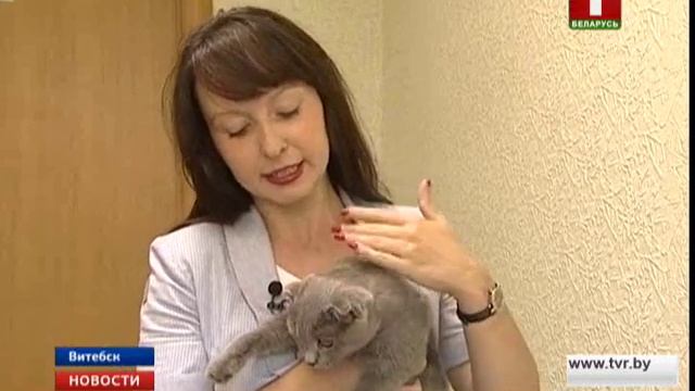 В Витебске выявлен случай бешенства у домашнего животного смотреть онлайн