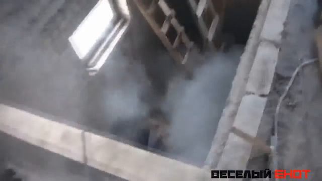 Веселый Енот Выпуск 7 соседка, Гастарбайтер , Машина vs Танк смотреть онлайн