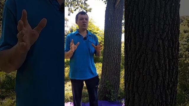 НАЧИНАЮ ЭКСПЕРИМЕНТ: можно ли убрать живот только одним упражнением? смотреть онлайн