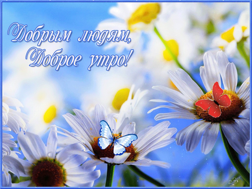 Самое красивое пожелание Доброго Утра любимой! Музыкальная видео-открытка с Добрым Утром смотреть онлайн