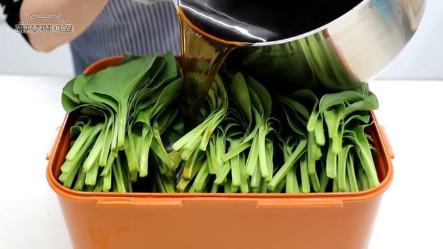 노지 명이나물 장아찌 만들기 평창농원 구매처 #255 смотреть онлайн