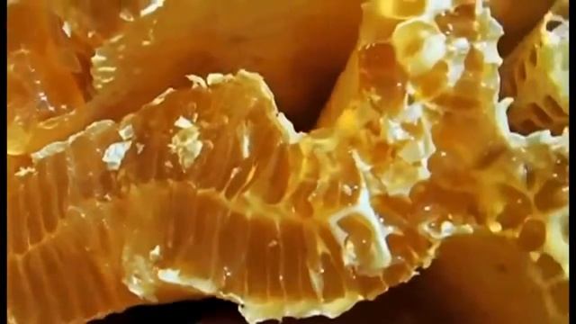 Мёд в сотах _ футаж смотреть онлайн