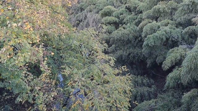 24 ВЛОГ ДЛЯ ТЕХ КТО СМОТРИТ КАНАЛ ГУСАРИХА ✨️ смотреть онлайн