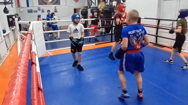 Моисеев Дмитрий - Султанов Денис. СПАРРИНГ. 183415 смотреть онлайн