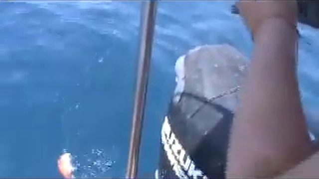 Рыбалка на Красном море. Эйлат. Рыбалка с катера. www.eilatfishing.com смотреть онлайн