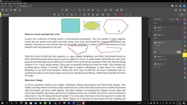 How to draw polygon rectangle oval cloud in Adobe Acrobat Pro DC смотреть онлайн