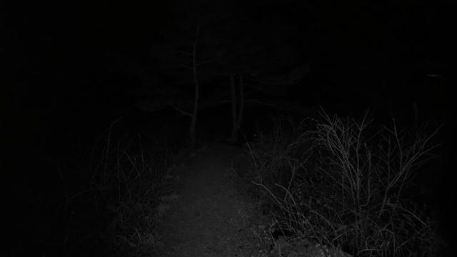 Черный ангел | Страшные истории | Creepypasta | История на ночь смотреть онлайн