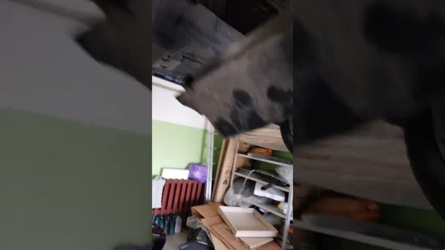 Peugeot 208 заправляем eolys смотреть онлайн