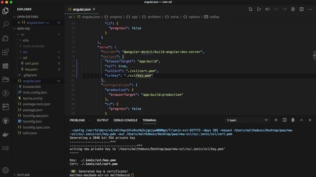 Angular & Ionic - How to serve with SSL [MAC] смотреть онлайн